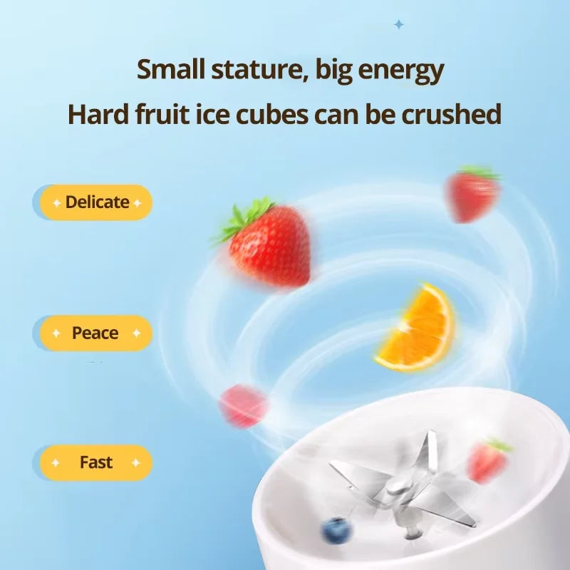Mini Fruit Mixer Milkshake Juice Maker